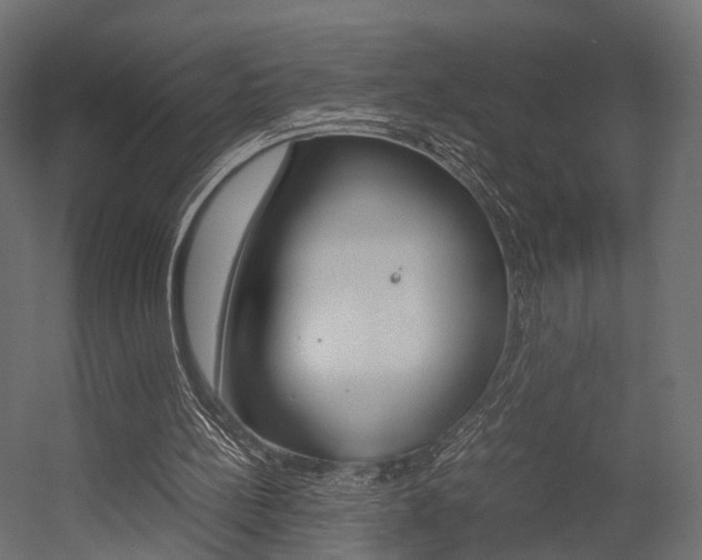 X0000054370148200507290840