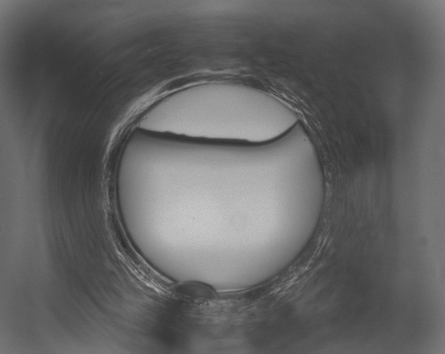 X0000054370149200507290840