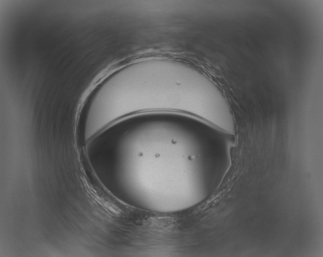 X0000054370150200507290840