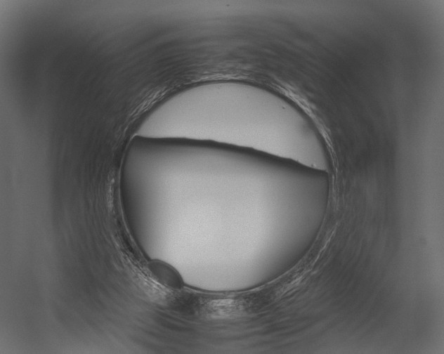 X0000054370153200507290840