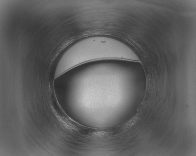 X0000054370158200507290840