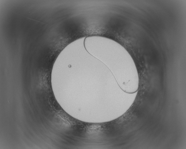 X0000054370162200507290840