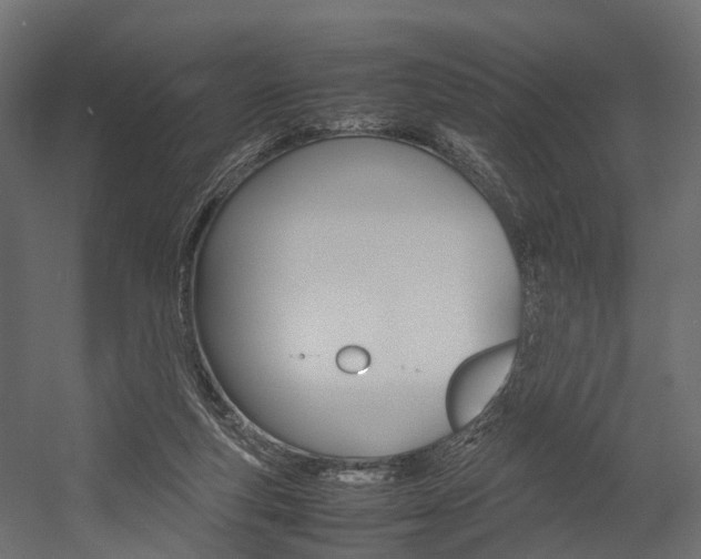 X0000054370163200507290840