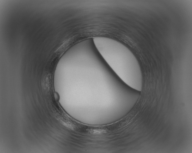 X0000054370165200507290840