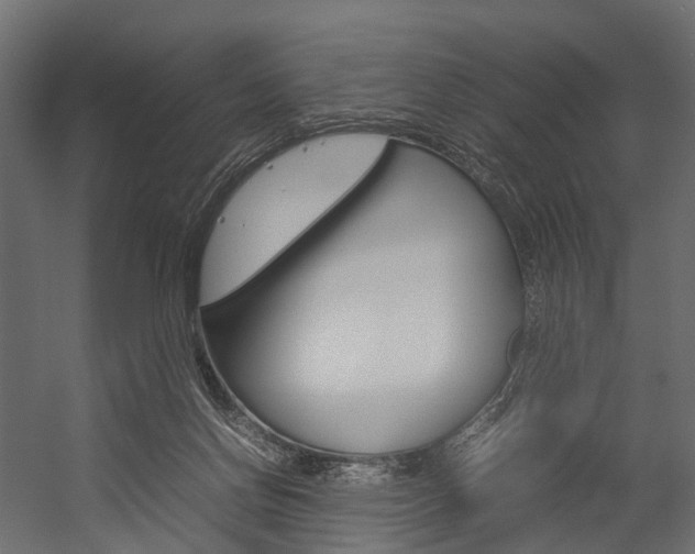 X0000054370166200507290840