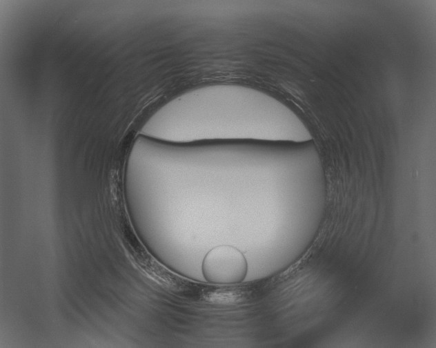 X0000054370171200507290840