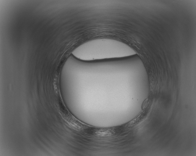 X0000054370175200507290840