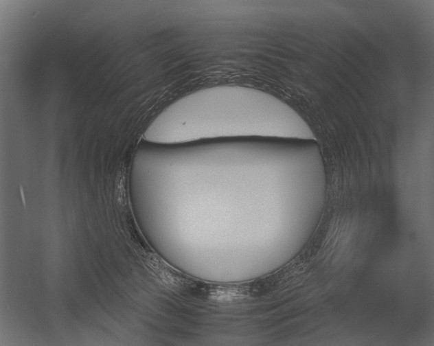 X0000054370177200507290840