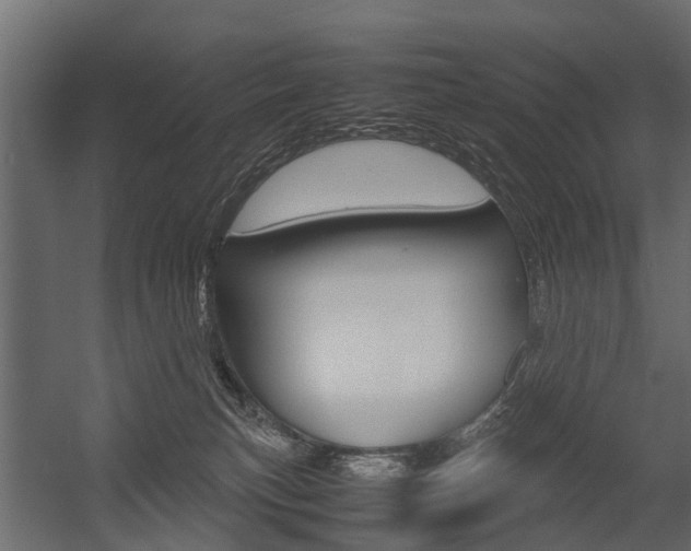 X0000054370183200507290840