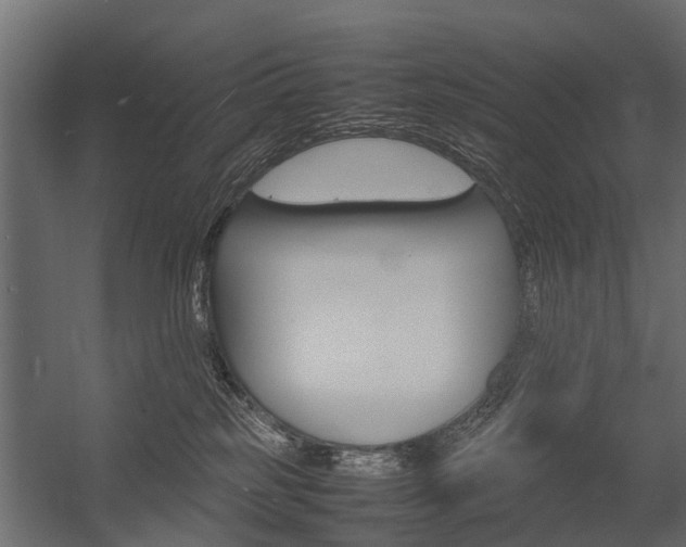 X0000054370185200507290840