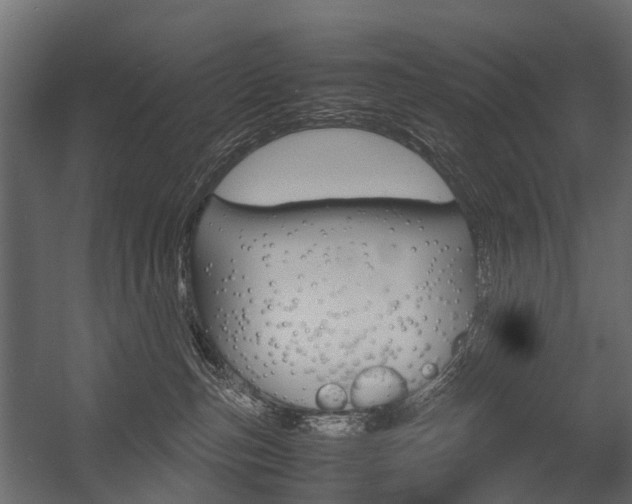 X0000054370187200507290840