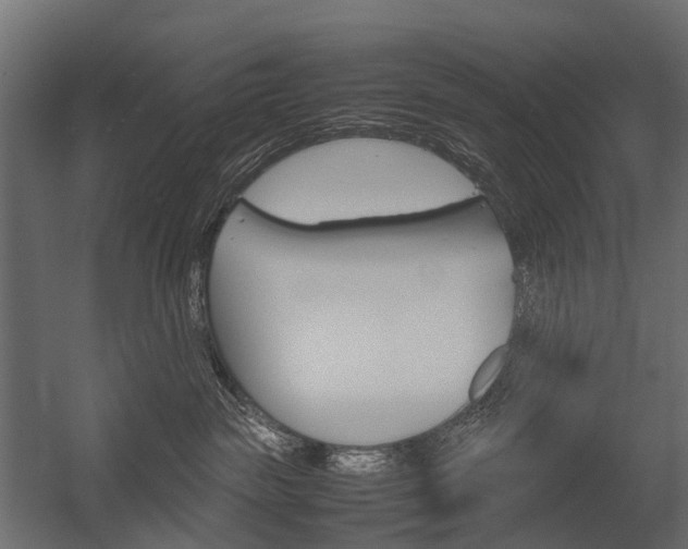 X0000054370189200507290840