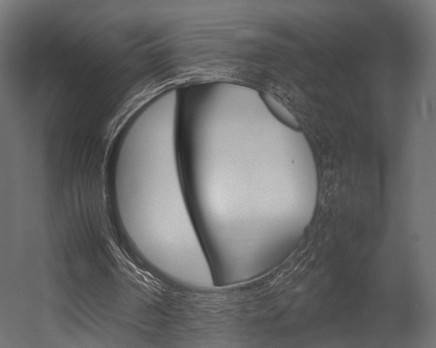 X0000054370194200507290840