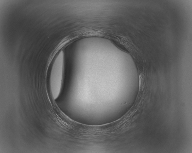 X0000054370195200507290840