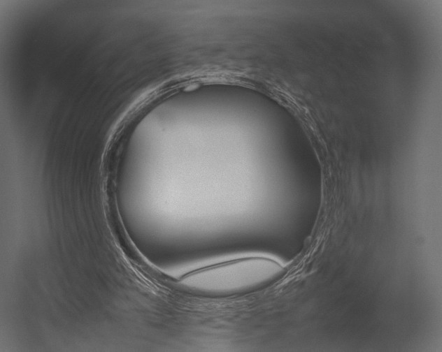 X0000054370197200507290840