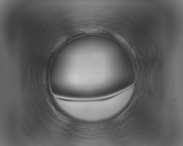 X0000054370201200507290839