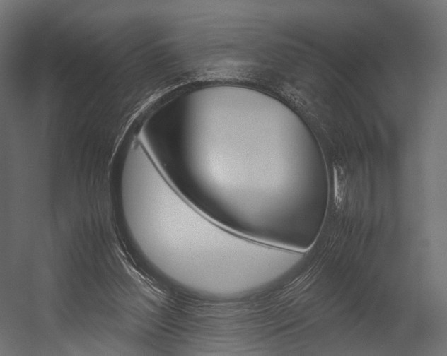 X0000054370204200507290839