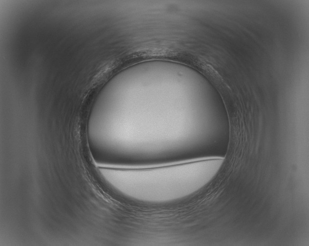 X0000054370207200507290839