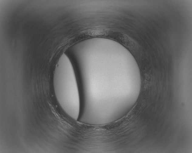 X0000054370210200507290839