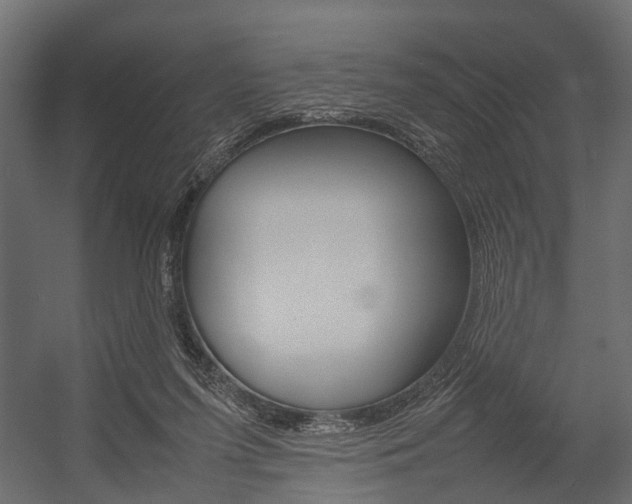 X0000054370215200507290839