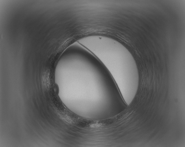 X0000054370216200507290839