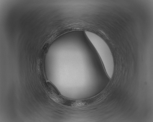 X0000054370217200507290839