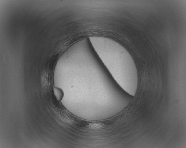 X0000054370218200507290839