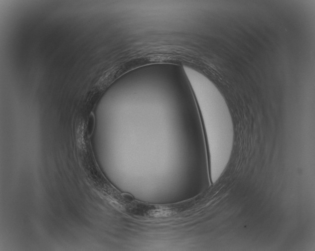 X0000054370219200507290839