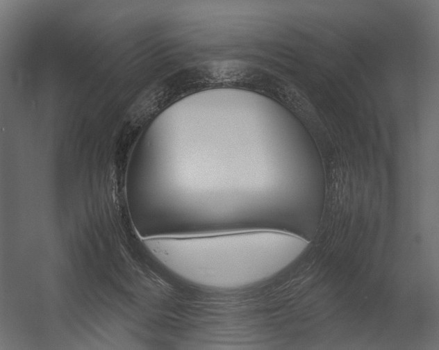 X0000054370220200507290839