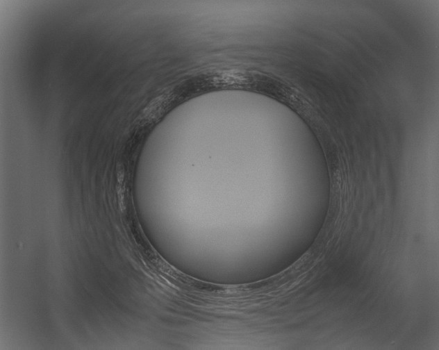X0000054370223200507290839