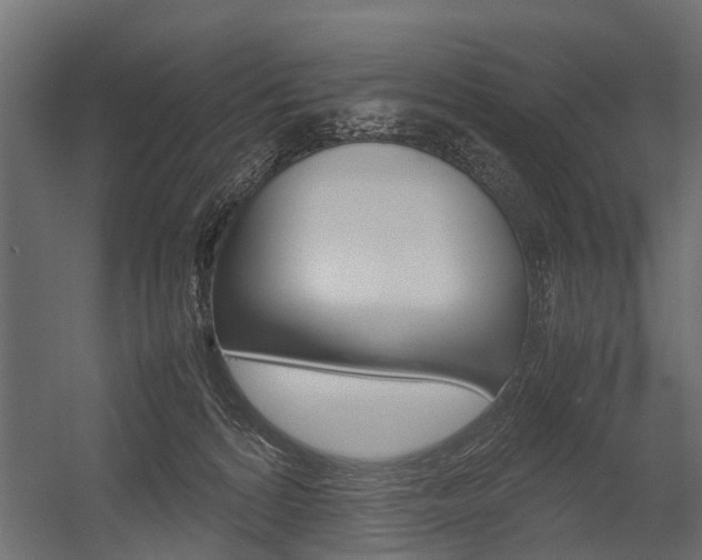 X0000054370224200507290839