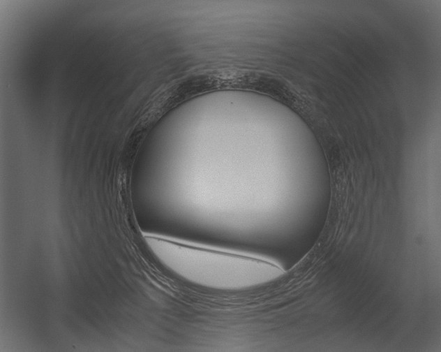 X0000054370225200507290839