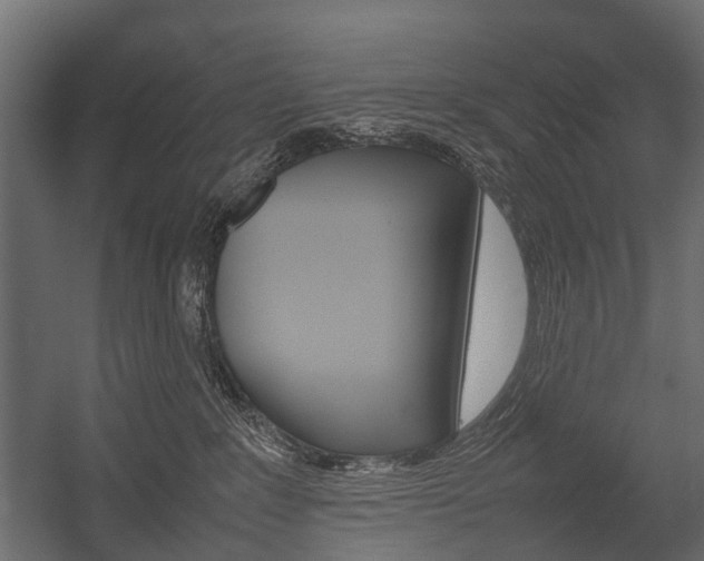 X0000054370235200507290839