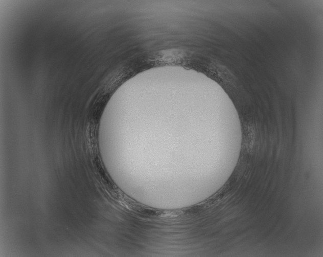 X0000054370236200507290839