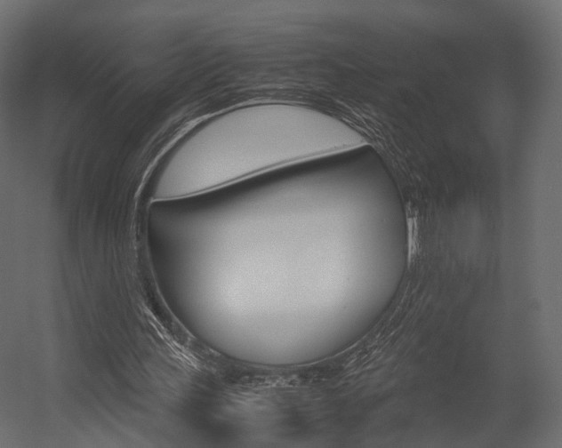 X0000054370243200507290838