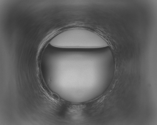 X0000054370245200507290838