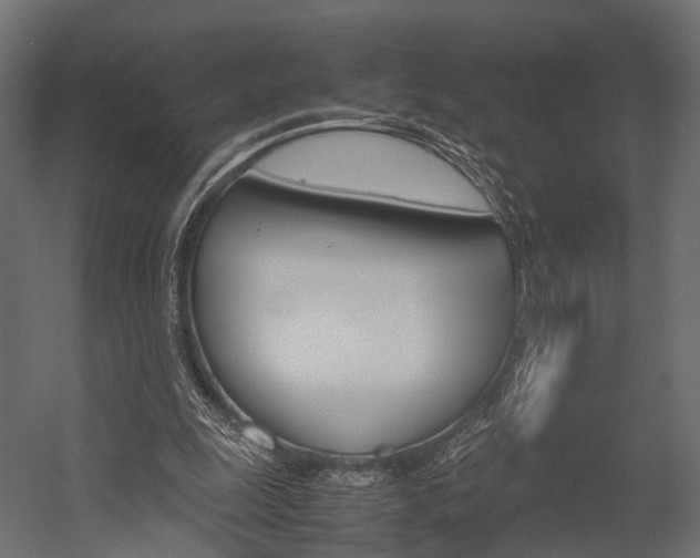 X0000054370247200507290838
