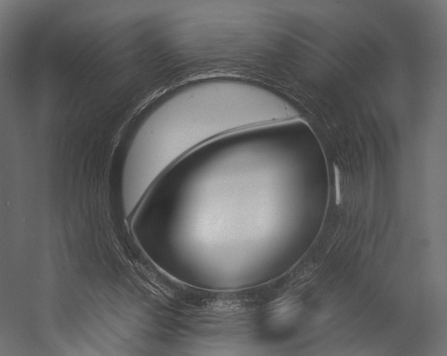 X0000054370252200507290838