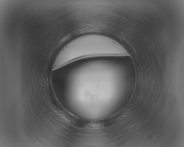 X0000054370260200507290838