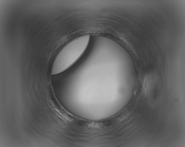X0000054370261200507290838