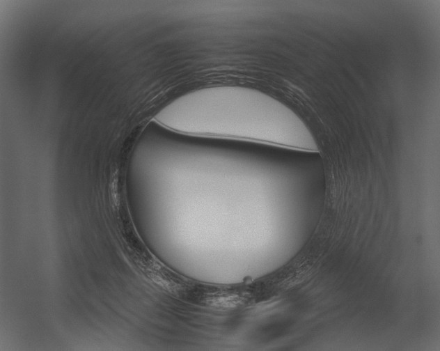 X0000054370267200507290838