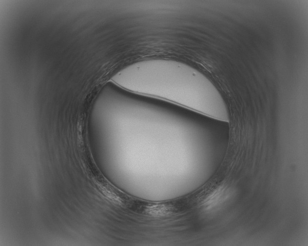 X0000054370269200507290838