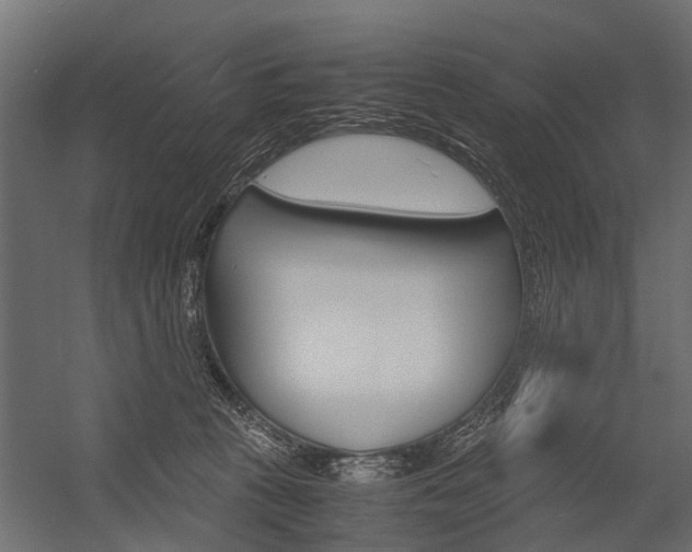 X0000054370273200507290839