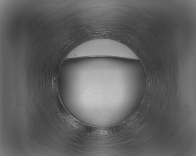X0000054370276200507290839