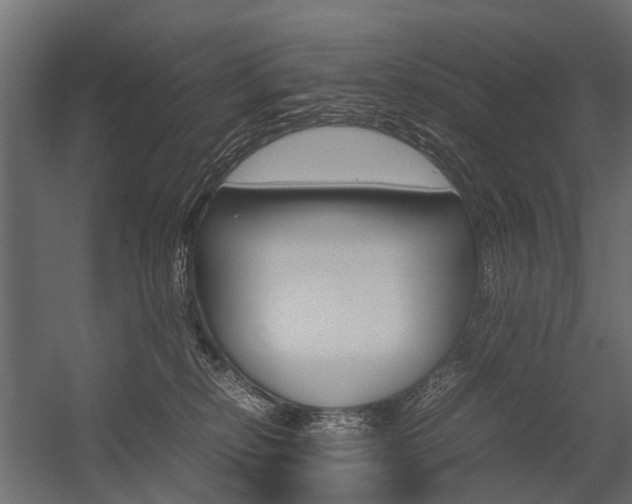 X0000054370278200507290839