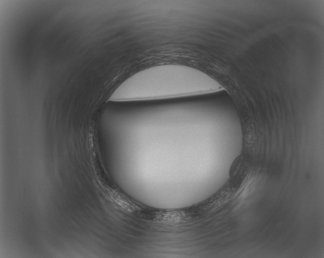 X0000054370282200507290839