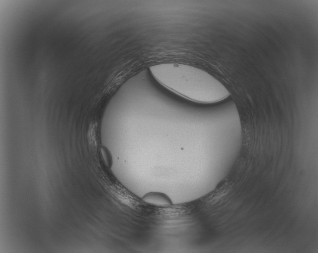 X0000054370286200507290839