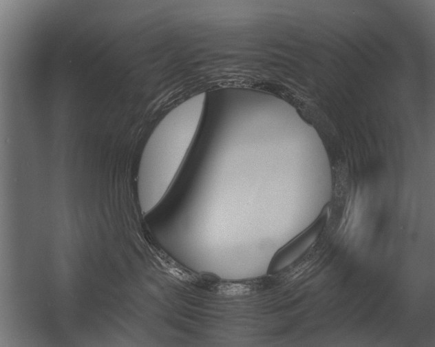 X0000054370287200507290839