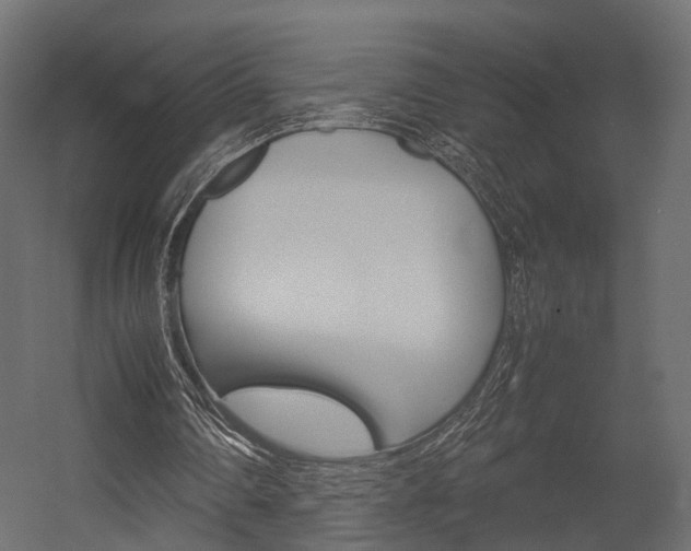 X0000054370290200507290838