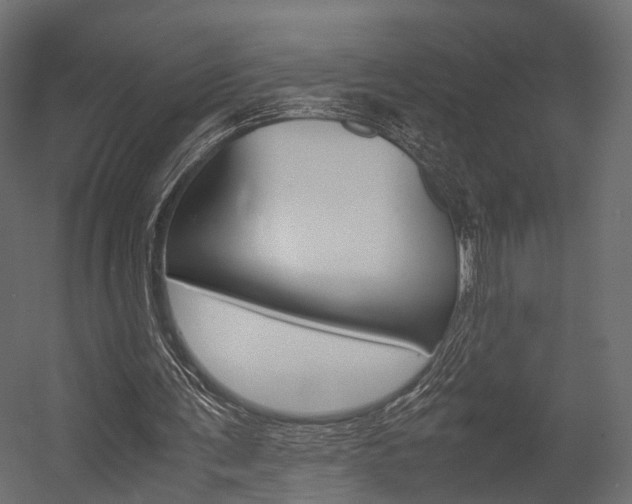 X0000054370291200507290838